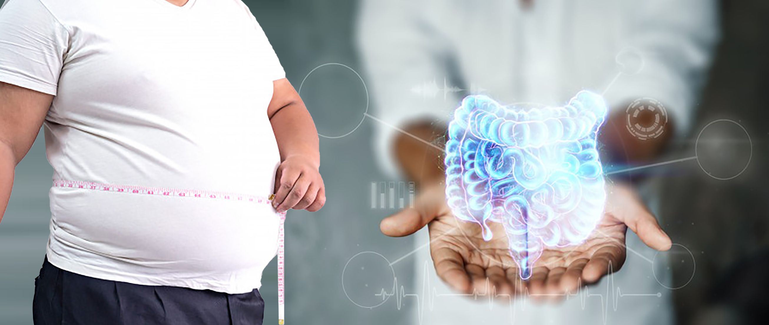 ارتباط  بین میکروبیوم روده و چاق